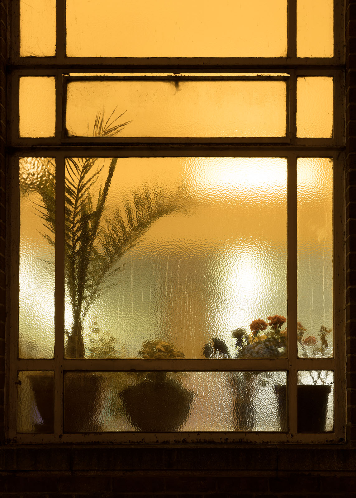 Window Light